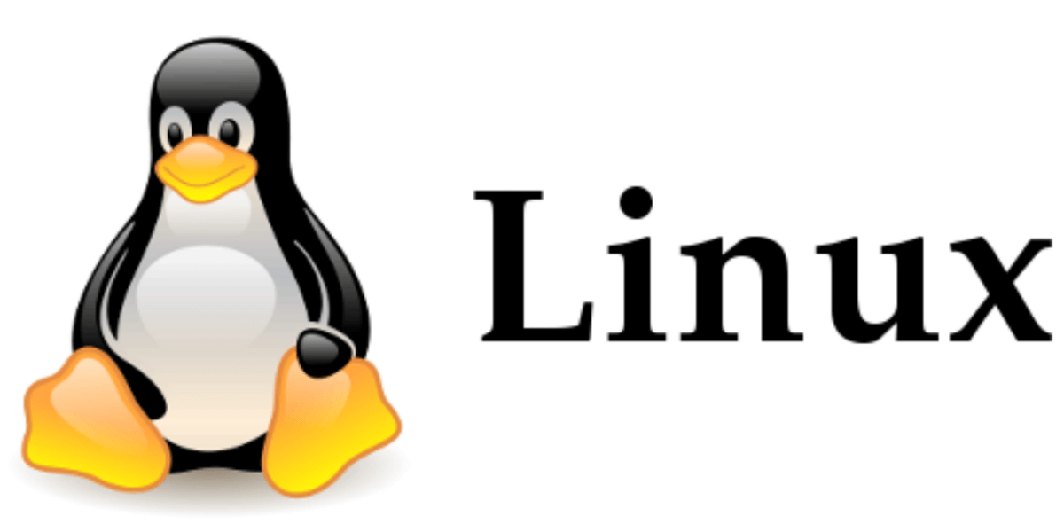 Linux Linux command ls pwd cp mv more grep tail